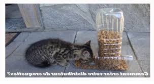 Distributeur Croquettes Chat Fait Maison Meest Recente Technologieen Binnen De Gebouw Business Samenstelt Homebuilding Meer Vindingrijk En Veiliger Stofvrij Gi