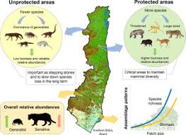 The novel is being serialized to 9 chapters, new chapters will be published in webnovel with all rights reserved. The Role Of Protected And Unprotected Forest Remnants For Mammal Conservation In A Megadiverse Neotropical Hotspot Sciencedirect