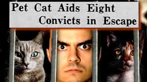 The Search For History's Weirdest Prison Break