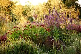 Piet Oudolf Garten