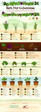 Herb Plant Guide Garden Design Ideas