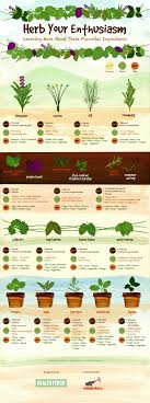 Herb Plant Guide Garden Design Ideas