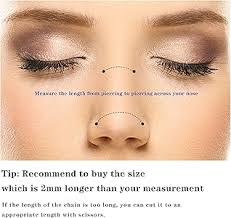 Roheafer Naso Catena Piercing Attraverso Naso Acciaio Chirurgico Nostril  Piercing Gioielli CZ A Forma di L Naso Borchie e Catena Cuore 20g Naso  Catena Piercing per Le Donne : Amazon.it: Moda