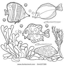 Black And White Sea Anemone Coloring For Children Sea Creatures Hand Drawn Black And White Vector Illustration Sea Creatures Drawing Coloring Books Fish Coloring Page
