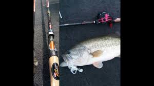 Best Rod Under 50 Berkley Lightning Shock Rod Youtube