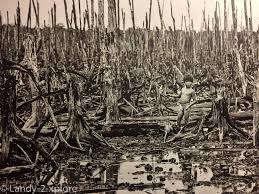 Als wesentliche kriegsparteien standen nordvietnam und die auch als „vietcong bezeichnete nationale. Vietnamkrieg Nov 2017 Landy 2 Xplore Com