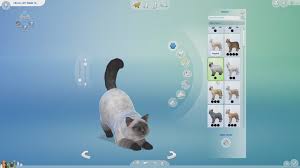 They're fun for children and they liven up a home but they're also a responsibility. How To Create A Pet In The Sims 4 Sims Online