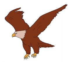 Konservasi Elang Di Halimun Salak Halaman 38 Belajar Kurikulum 2013