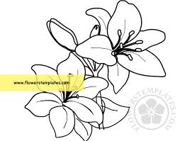 Affordable and search from millions of royalty free images, photos and vectors. Easter Lily Flower Coloring Page Flowers Templates