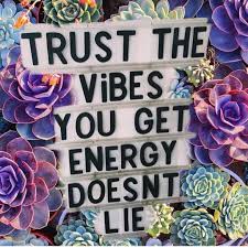 Trust The Vibes Pictures Photos And Images For Facebook Tumblr Pinterest And Twitter