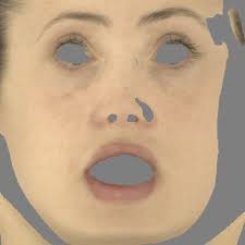 High-Fidelity Facial Reflectance and Geometry Inference From an  Unconstrained Image-0.0in