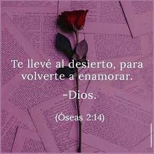 Los propósitos de...