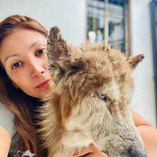 En Love Hospital Veterinario Tapia 1404 poniente centro esquina vallarta