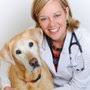 WALNUT CREEK ANIMAL CLINIC