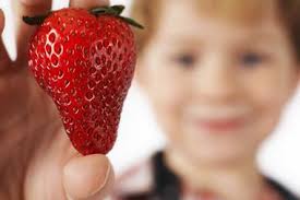 Freeze-drying 'as good as freezing' fruit, says Chaucer study