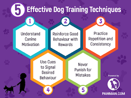 Dog Training Techniques That You Should Know
