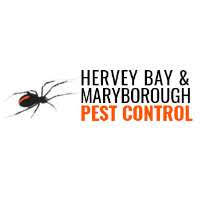 If you have a pet, rest assured knowing ivey's carpet cleaning and pest control use. Hervey Bay Maryborough Pest Control Pest Control Pialba Qld 4655