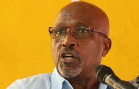 Animal microchipping soon mandatory, says RSPCA boss