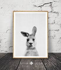 Kangaroo Print Australian Animal Wall Art Nursery Decor Black And White Printable Kids Room Large Poster Digital Download Australiana Nursery Decor Black Animal Wall Art Nursery Animal Wall Art