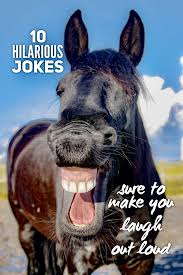 These jokes are perfect for sharing with your. 10 Hilarious Jokes Sure To Make You Laugh Out Loud Funny Horses Horse Jokes Funny Horse Names