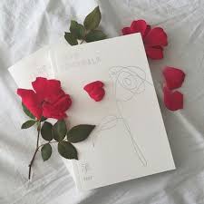 65 images about ð™ð™šð™™ on we heart it see more about aesthetic red and white we heart it