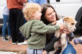 You can use the links for pet finder or adopt a pet to find those looking for their forever home. Matchdog Rescue Saving Dogs From A Ruff Situation In Texas The Sun Newspapers