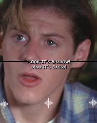 Shadowfish Havoc Hotel 3 Chance