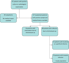 However, because immunocompromised persons (who constitute up to 5% of u.s. Invasive Actinomycosis Surrogate Marker Of A Poor Prognosis In Immunocompromised Patients International Journal Of Infectious Diseases