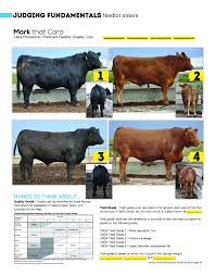 Drive Livestock Homepage Animal Science Livestock Judging Livestock