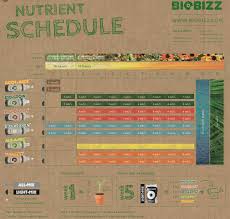 60 logical bio bizz bloom feeding chart