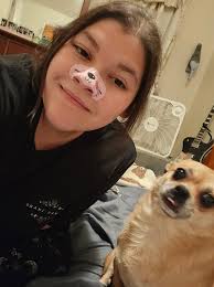 Little Mocca Chino Full Isabella Cherry Tiny short compact Mocca Tan🩸5.5  pounds. 5 weeks old