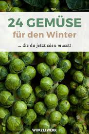 24 Gemuse Die Du Im Winter Anbauen Kannst Wurzelwerk In 2020 Garten Bepflanzen Gemuse Anpflanzen Selbstversorger Garten