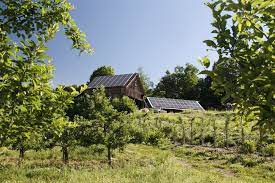 Their standard cider is fresh, crisp, and delicious, but their vintage cider is amazing. Clarkdale Fruit Farms Pv Squared