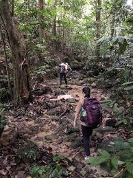 Maybe you would like to learn more about one of these? Wikiloc Bukit Chenuang And Batu Kumbang 10 April 2021 Trail