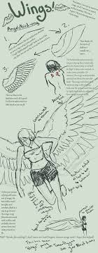 Wings Part1 Angel Bird Wings By Takenflyght On Deviantart Wings Drawing Drawings Art