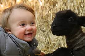 Round Two AND Three.... — Poe Hamps