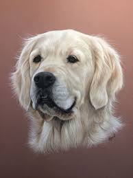 Chien Golden Retriever Au Pastel Portraits De Chiens Dessin De Chien Peintures De Chien