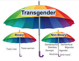 What does it mean to be agender? Is There A Label For If Your Gender Is Not In The Binary But Sometimes More Masc Leaning And Sometimes More Fem Leaning Alterheros Com