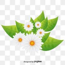 Flower Flower Clipart White Flower White Png Transparent Clipart Image And Psd File For Free Download Flower Clipart Flowers Clip Art