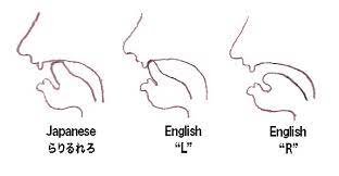 Lose your accent & pronounce japanese words like a native. How To Pronounce ã‚Š É¾i Duolingo