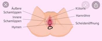 Die kleinen schamlippen zählen zum äußeren genital (vulva) der frau. Weisses Hautchen Am Scheideneingang Wo Die Beiden Schamlippen Sich Treffen Gesundheit Und Medizin Frauen