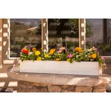 Maybe you would like to learn more about one of these? Faux Window Box Flowers Wayfair
