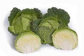 Image result for hlávková kapusta