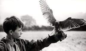 What nostalgia kes does invoke isn't from familiar songs or relatable party and classroom scenes. Ken Loach S Kes 1969 Un Film De