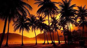 Desktop wallpapers tablet, laptop, hd backgrounds 1366x768 sort wallpapers by: 1366x768 Hd Wallpapers Wallpaper Cave