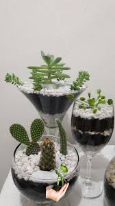 All Ikea Looks Great Salvabrani Succulents Garden Pinterest Succulents G Planting Succulents Indoors Succulent Garden Indoor Succulent Garden Diy