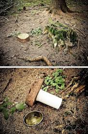 Geocache Flickr Photo Sharing Slice Of A Large Branch Geocaching Survival Hiding Places