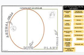• use the blank doodle note for hole punch independent or pair work. Cell Doodle Notes Plant And Animal Digital Tools Google Slides