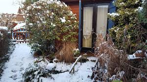 Ciel est sombre, il y a nuages. Il Neige Dans Mon Jardin De Nielle Avec Henri Des Les Renc Arts Des Amis D Hom Arts