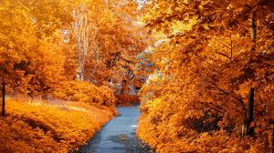 3840x2160 4k desktop wallpaper 5jpg nature wallpaper cool wallpapers. 4k Nature Wallpapers Ultra Hd 4k Nature 3840x2160 Download Hd Wallpaper Wallpapertip